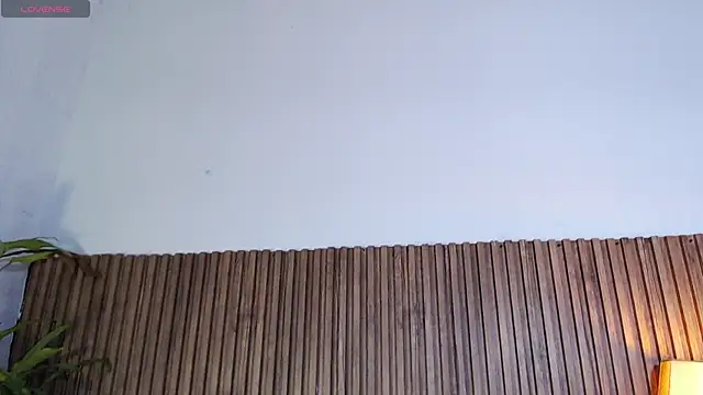 DilanJonnes  online show from 01-12-26, 11:43