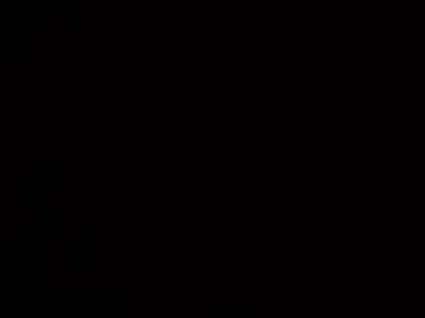 Lutfuberk online show from 12-15-24, 10:28
