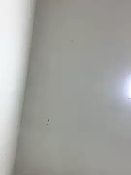 LinnaGardenia online show from 10-01-25, 05:41