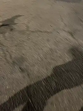 Snapshot of ToAnWTW chatting on 02-24-26, 09:57 ToAnWTW online show from 02-24-26, 09:57