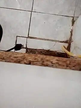 Snapshot of DirtyRcride chatting on 12-03-24, 08:16 DirtyRcride online show from 12-03-24, 08:16