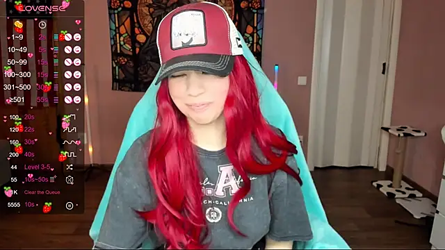 Project hisoka online show from 01-02-25, 02:33