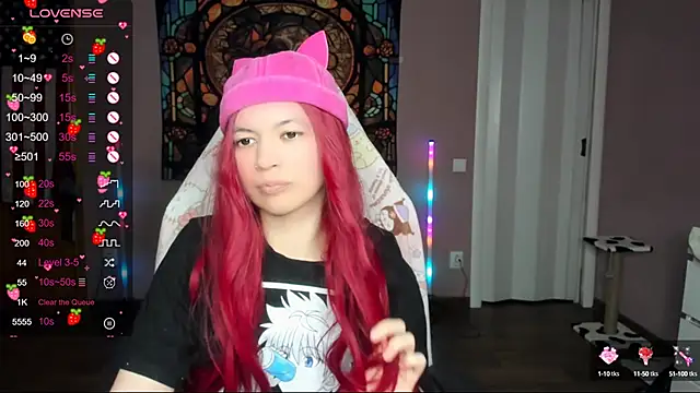 Project hisoka online show from 01-13-25, 01:34