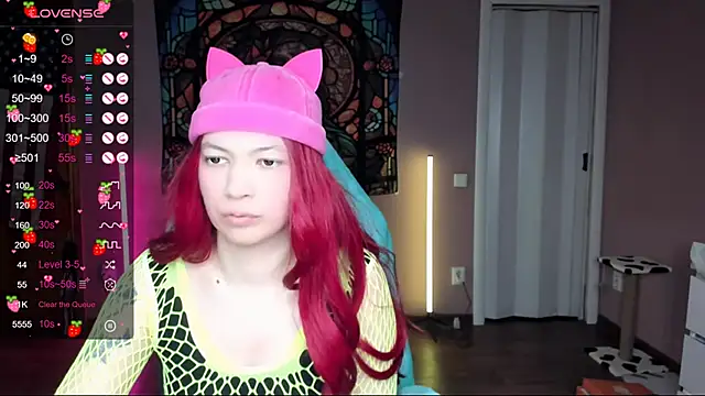 Project hisoka online show from 02-01-25, 02:47