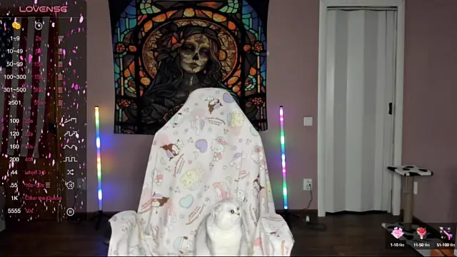 Project hisoka online show from 03-09-25, 11:58