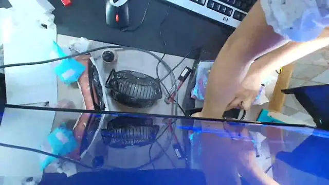 Lilyevansx online show from 10-07-25, 06:05