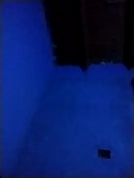 Snapshot of pmalvado912 chatting on 03-28-26, 05:07 pmalvado912 online show from 03-28-26, 05:07