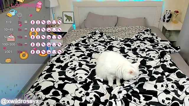 wildrossy online show from 10-15-25, 06:24