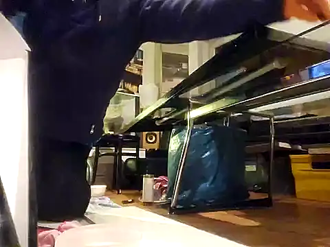 0815lukas2024 online show from 12-07-24, 03:25