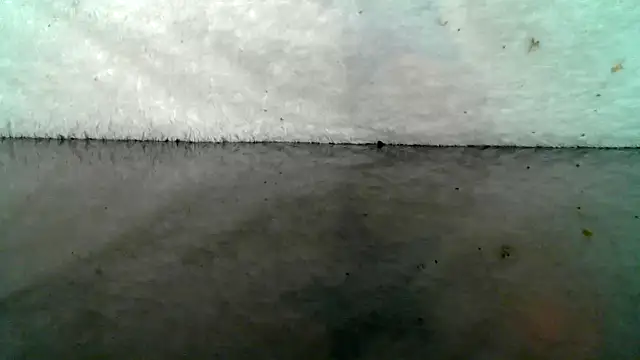 0815lukas2024 online show from 10-22-25, 09:03