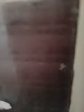 hardgetsex online show from 09-29-25, 09:08