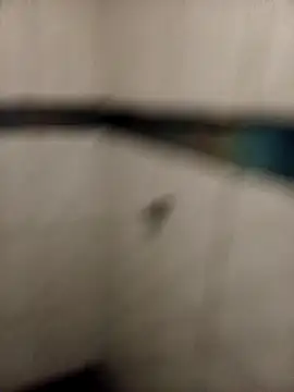 ladygmusic online show from 02-06-26, 08:51