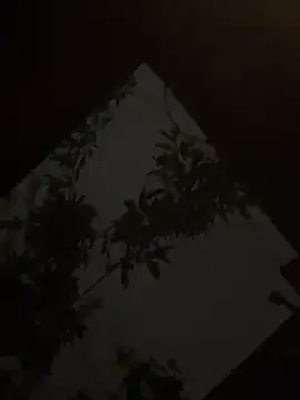 holyeroticss online show from 09-25-25, 01:31