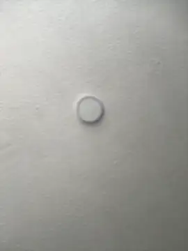 Salome golvert online show from 09-16-25, 03:35