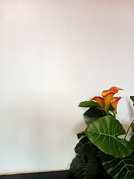 JemaimaPrincess online show from 03-21-25, 11:22