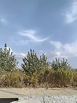 cuplubijoanna online show from 09-20-25, 04:52