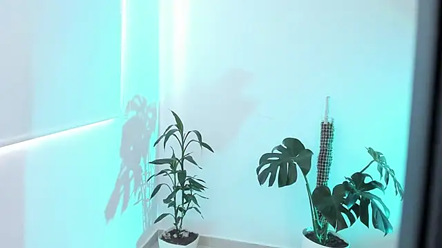 Snapshot of rossth1 chatting on 03-20-26, 08:46 rossth1 online show from 03-20-26, 08:46