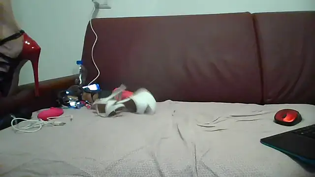 Danielasexy74 online show from 11-14-25, 04:38