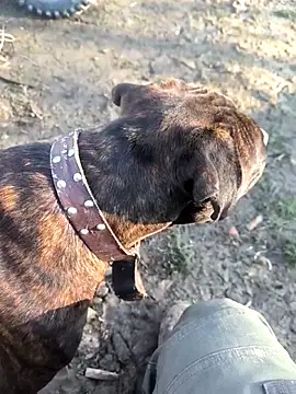 mitulik84 online show from 12-19-25, 11:50