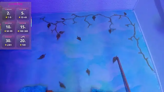 Snapshot of SaturnooStonee chatting on 03-25-26, 02:17 SaturnooStonee online show from 03-25-26, 02:17