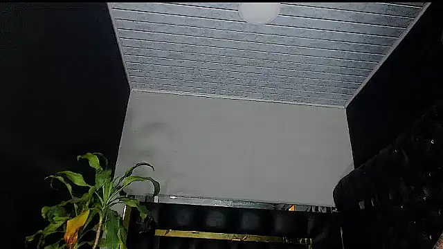 Kitie Petarda online show from 10-19-25, 09:59