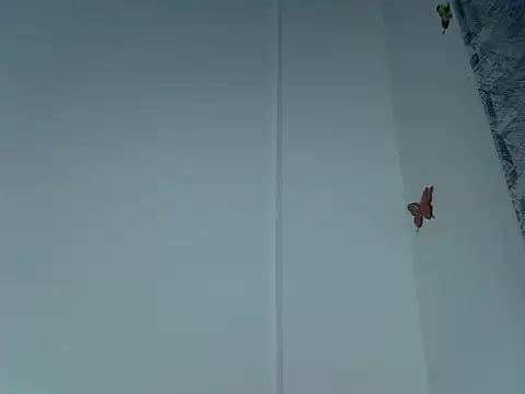 Snapshot of laetitia_ chatting on 09-29-25, 10:47 laetitia online show from 09-29-25, 10:47