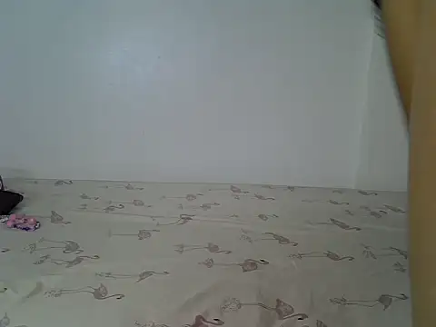Snapshot of laetitia_ chatting on 05-11-26, 08:06 laetitia online show from 05-11-26, 08:06