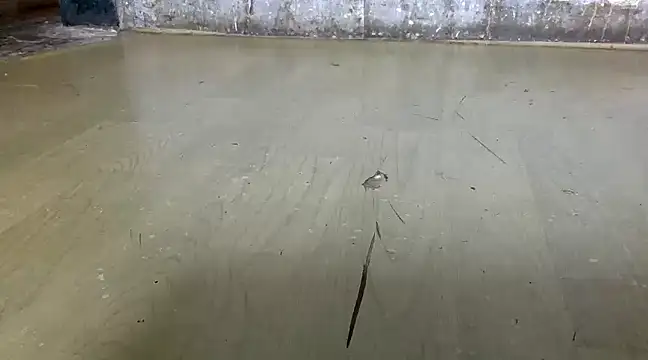 itstherahul online show from 02-17-25, 07:37