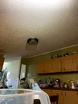 Snapshot of velvetta_ chatting on 12-17-25, 04:51 velvetta online show from 12-17-25, 04:51