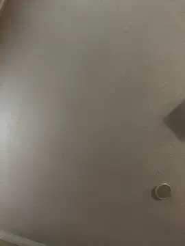 Snapshot of velvetta_ chatting on 12-18-25, 01:06 velvetta online show from 12-18-25, 01:06