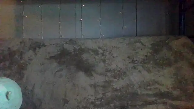 velvetta  online show from 04-09-26, 06:24