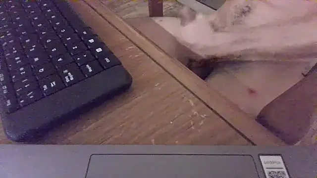 nicolaaaaas online show from 02-14-25, 04:58