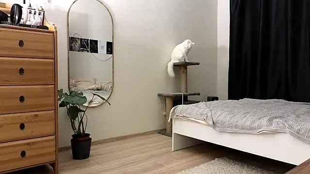 Snapshot of vse_horosho chatting on 11-13-25, 05:23 vse horosho online show from 11-13-25, 05:23