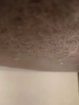 Alex flair online show from 03-17-26, 02:20