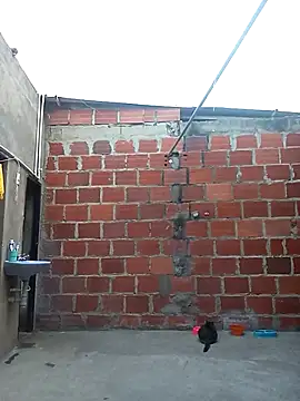 ariana d20 online show from 03-11-25, 10:53