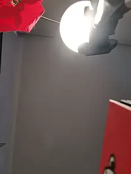 Redfloweer1 online show from 12-17-24, 10:11