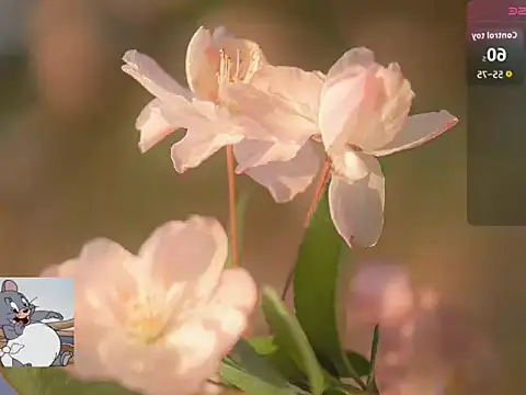 Lovensetest online show from 10-22-25, 07:19