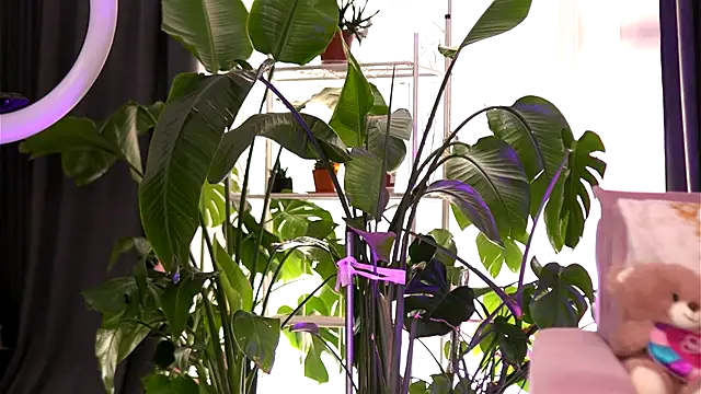 EmilyRaymont online show from 09-21-25, 05:20