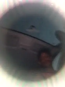 Ursonego online show from 10-03-25, 10:07