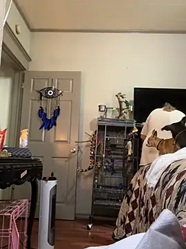 lezbean24 online show from 03-11-26, 05:41