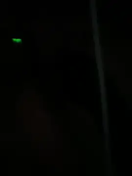 dimitriei online show from 01-05-25, 08:54