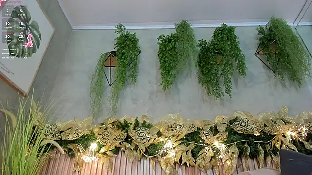 Lana Lann online show from 12-14-24, 03:15