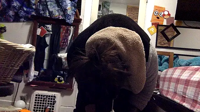 Robriguezxxx online show from 03-22-25, 05:39