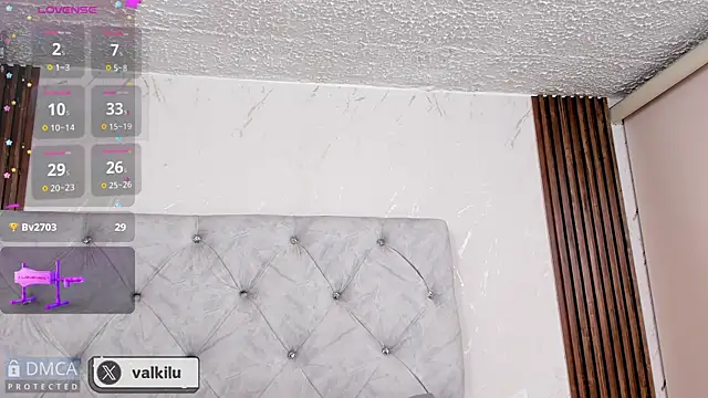 valkilu11 online show from 01-18-25, 02:14