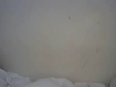 Snapshot of ebony_curvedass chatting on 09-10-25, 02:06 ebony curvedass online show from 09-10-25, 02:06