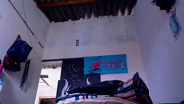 Zafiro subversiva online show from 01-08-26, 02:41