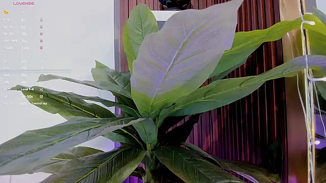 Anybuny online show from 01-20-25, 11:35