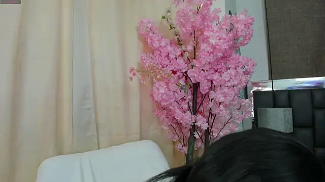  cat 18 online show from 03-21-25, 05:12