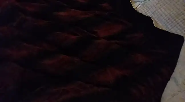 Snapshot of BushBator chatting on 03-04-25, 06:29 BushBator online show from 03-04-25, 06:29