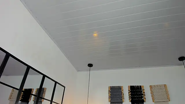 Sweet camille online show from 01-12-26, 02:17